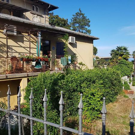 Appartamento Branka Laurana Esterno foto